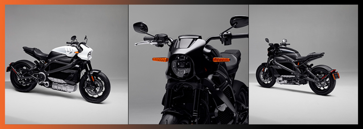 Harley-Davidson® Electric Bike